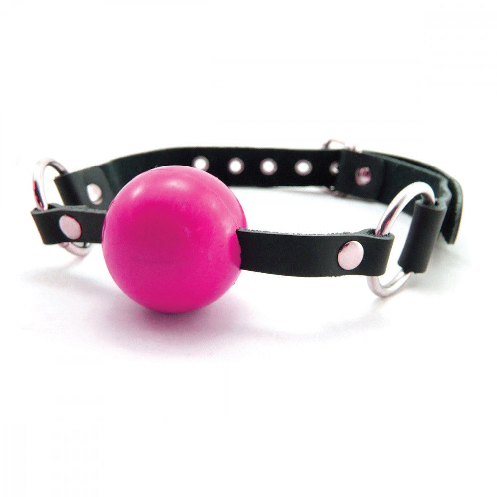 Sex Kitten Silicone Ball Gag Pink - Melody's Room