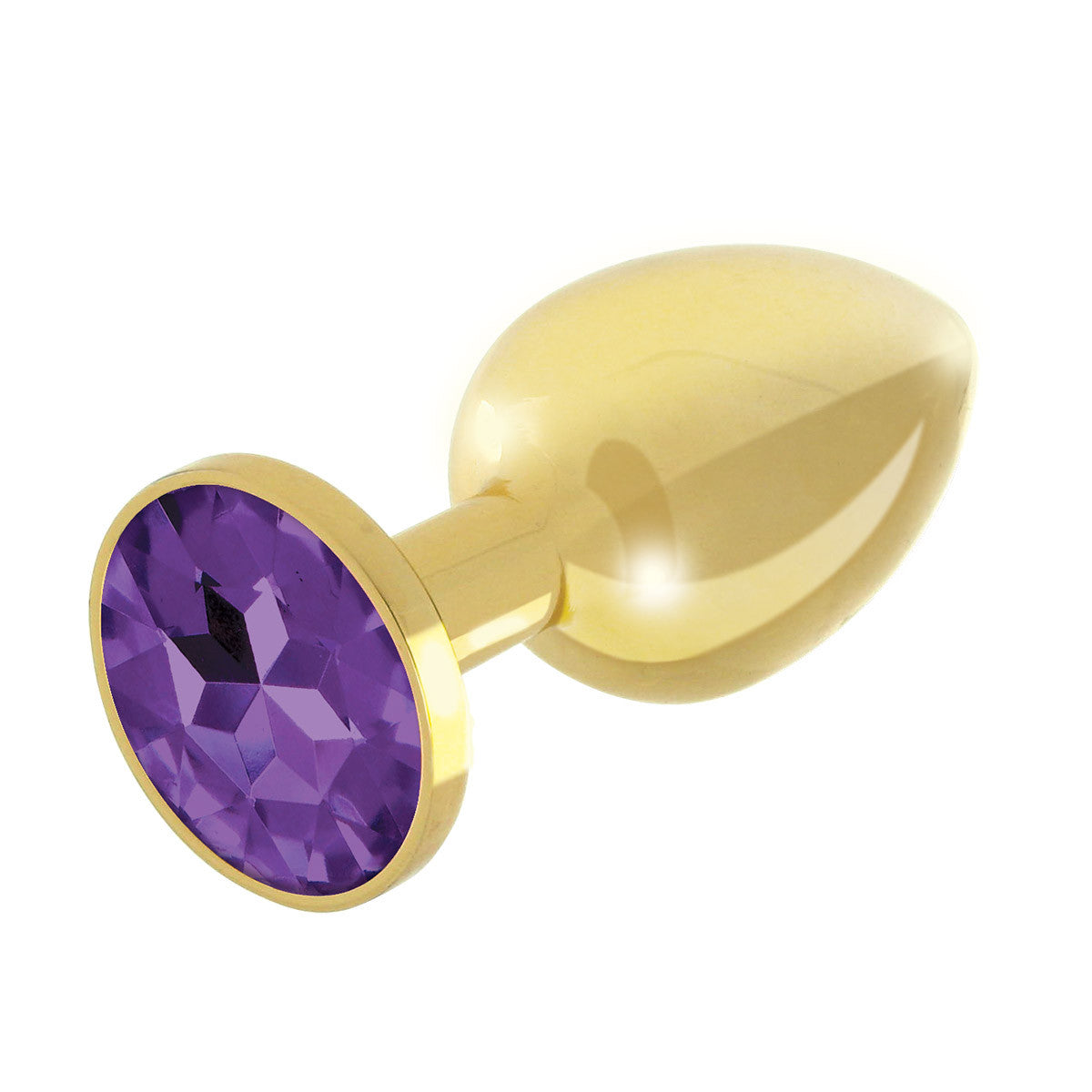Rianne S Gold Booty Plug Set - Stainless steel with purple gem - Melody's Room