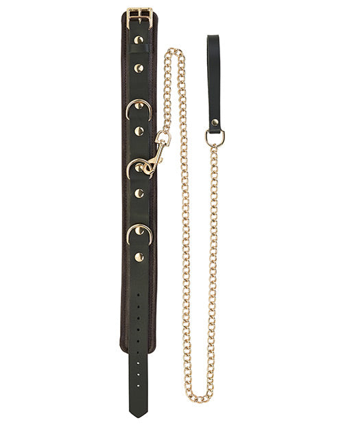 Brown Leather Collar & Leash w/Gold Accent Hardware - Melody's Room BDSM