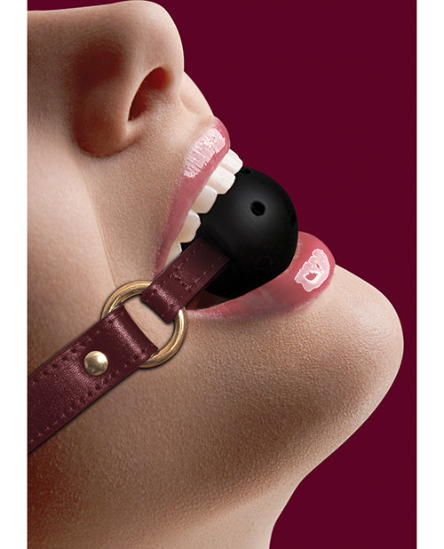 Shots Ouch Halo Breathable Ball Gag - Melody's Room BDSM