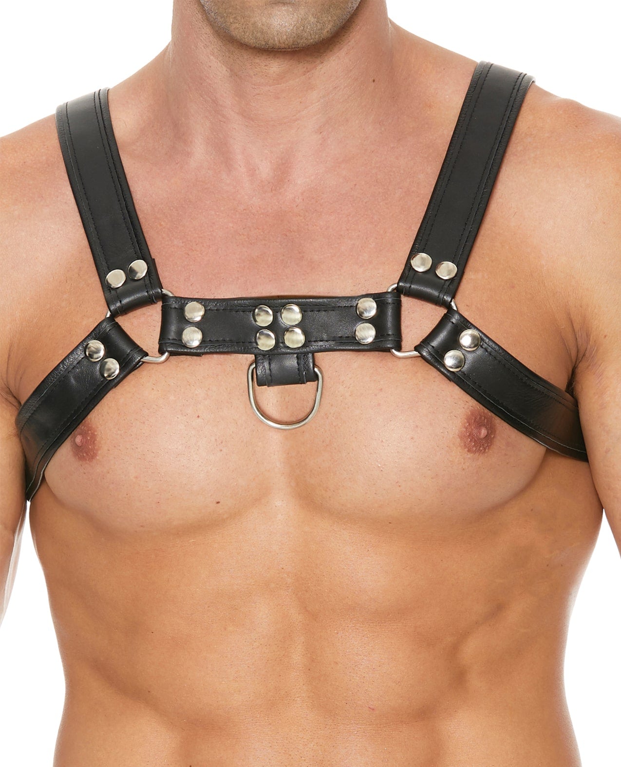 Shots Uomo Men's Black Chest Bulldog Harness | Melody's Room BDSM